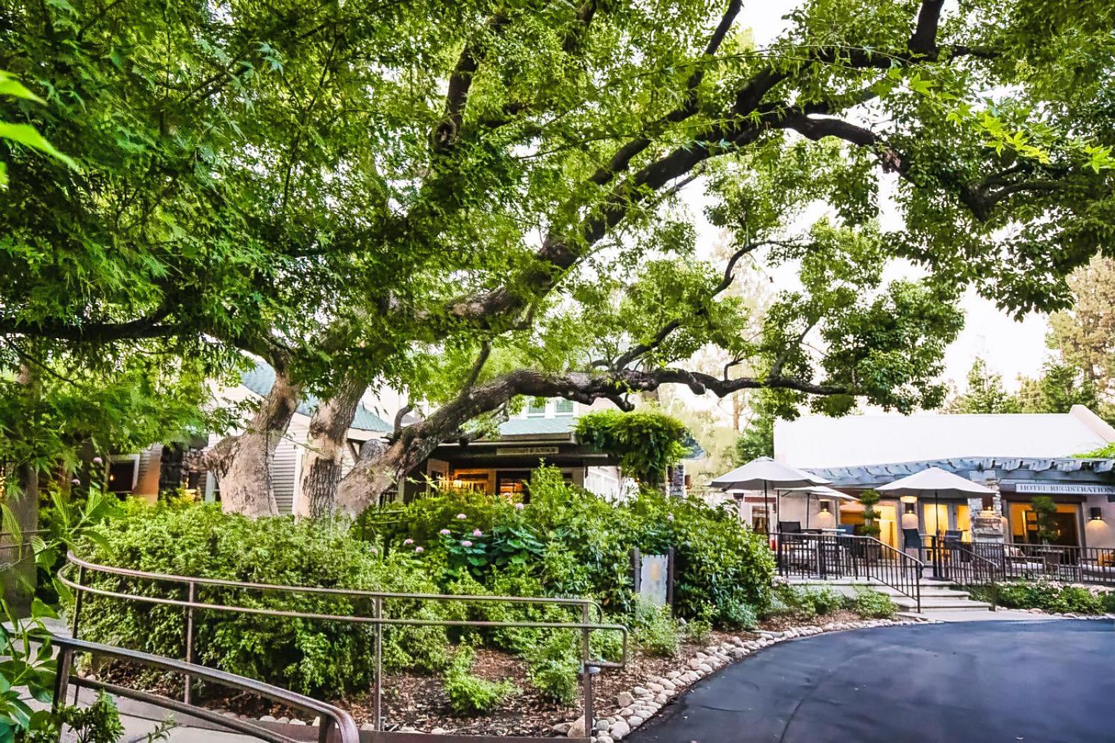 Wine & Roses Hotel Restaurant Spa לודי מראה חיצוני תמונה